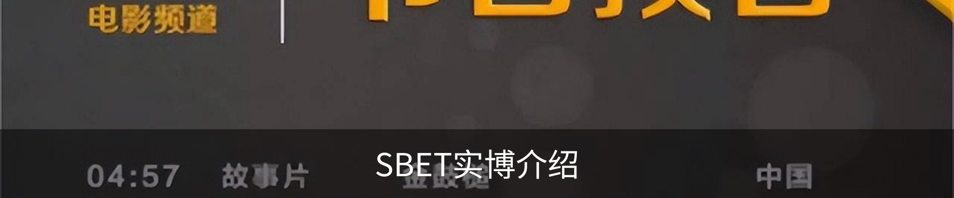 SBET实博介绍
